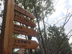 -上海崇明金茂凯悦酒店