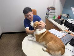 -联合动物医院(光谷诊疗中心)