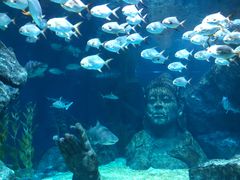-暹罗海洋世界