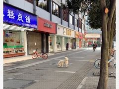 -闻酥园(青羊区人民中路店)