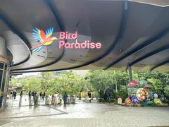 -新加坡飞禽公园