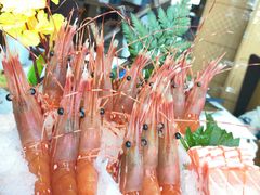 -芥末日本料理(打浦路铂尔曼旗舰店)
