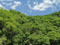 -黑河国家森林公园