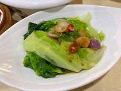 白灼罗马生菜-广州海鲜酒楼(长丰园店)