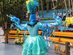 -镇江市南山风景名胜区竹林景区