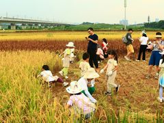 -光明小镇欢乐田园