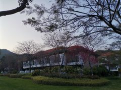 -厦门国家会计学院