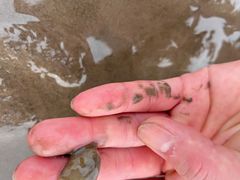 -南汇新城海滩