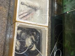 -青竹园海鲜餐厅(海天路店)