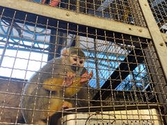 -成都浩海立方海洋公园