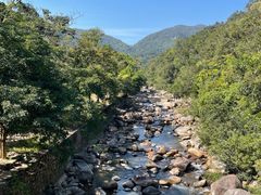 -海南热带雨林国家公园吊罗山景区