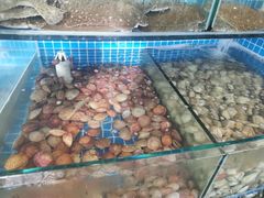 水产区-蟹谢蒸鲜自助餐厅