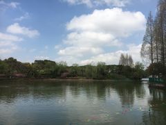 -黄兴公园