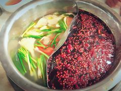 -朱氏胖子烂火锅(洪崖洞店)