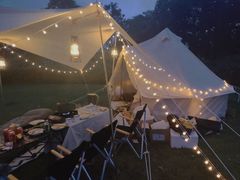 -春花秋色城市公园