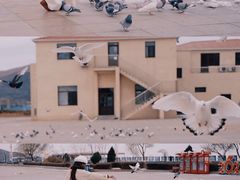 -兴城海滨风景区