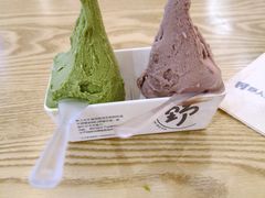 -野人先生Gelato(上海长宁龙之梦店)