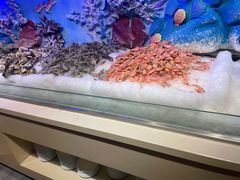 -比尔森韩式烤肉自助(国商店)