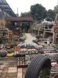 -三圣花乡旅游区