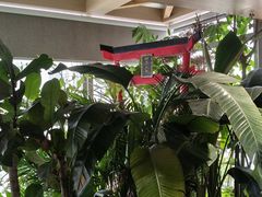 -帝京日语(春熙路旗舰校区)