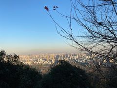 -罍+村(半边街店)