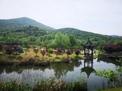 -石塘人家