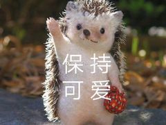 -鱼酷活鱼烤鱼(中联广场店)