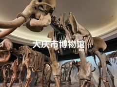 -大庆市博物馆