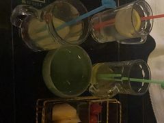 -蓉府金足印象(草市街22分店)