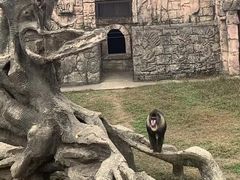 -南昌动物园