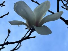 -荔枝公园(福田区)