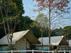 -云栖山谷野奢营地