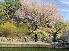 -团结湖公园