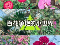 -沈阳植物园