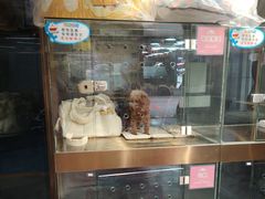 -FAELING PETS美天灵宠物(富力广场店)