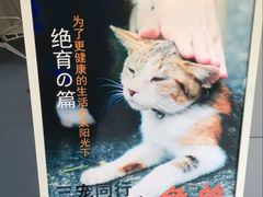 环境-伟伟宠物医院·CT影像中心·瑞派犬猫综合性门诊(汉口总院)