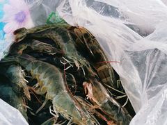 -天都火锅酒楼(虹梅南路店)