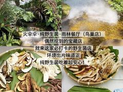 -西双版纳原始森林公园