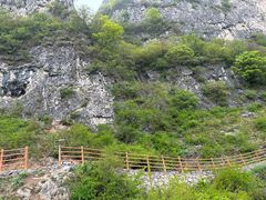 -王莽岭风景区