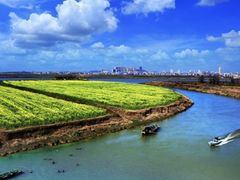 -鄱阳湖国家湿地公园