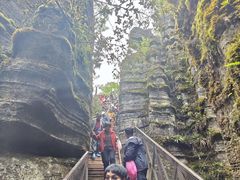 -梭布垭石林景区