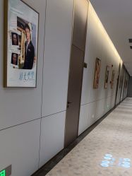 -深圳米兰柏羽医疗美容医院