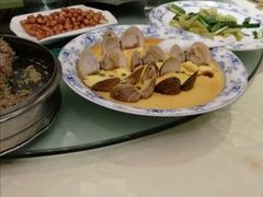 -楚灶王(徐东店)