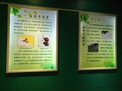 -上海昆虫博物馆