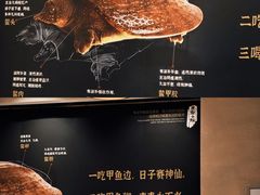 -王捌小院(红花坡店)