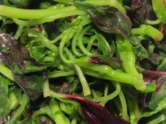 -望乡楼上海菜(日月光店)