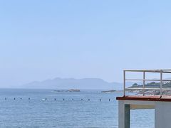 -八大关景区