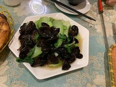 -新疆伊宁远征餐厅