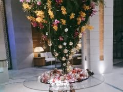 -浅深Cheersum(曹杨店)