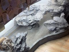 -白兔子密室(长寿路店)